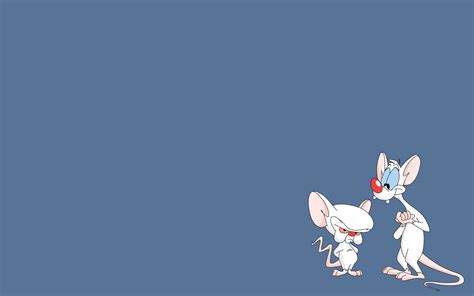 pinky and the brain wallpaper 64 images