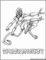 Coloring Spidermonkey Pages Ben Spider Monkey Skeleton Fun Colouring Popular sketch template