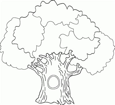 big tree coloring coloring home