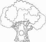 Drzewami Drzewa Coloringhome Drzewo Kolorowanka sketch template