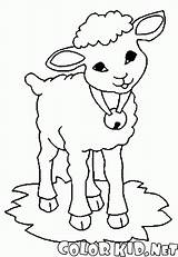 Ovejas Owce Kolorowanka Pecore Sheep Pecora Dzwonkiem Schafe Glocke Owca Goats Cordero Kolorowanki Campana Cabra Capre Malvorlagen Moutons Koza Sorridente sketch template
