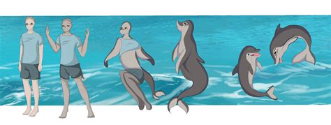 dolphin  luxianne transfur