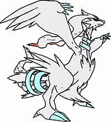 Reshiram Coloring Pokemon Pages Getdrawings sketch template