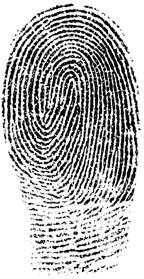 fingerprints unique