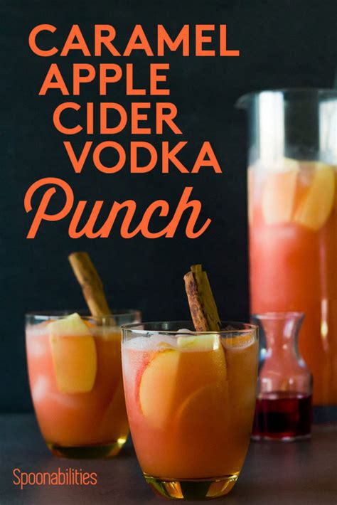 Caramel Apple Cider Vodka Punch Cocktail Drink Recipe Recipe Apple
