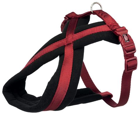 padded harnesses kingstown pet supplies