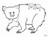 Bear Sloth Coloring Pages Cubs Mother Two Drawing Cute Baby Printable Animals Color Getdrawings Supercoloring sketch template