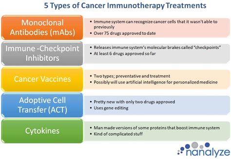 An Introduction To Cancer Immunotherapy Treatments Nanalyze