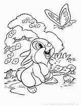 Lapin Coloriages Ko Lapins sketch template