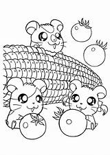 Coloring Pages Cute Hamster Hamtaro Kids Printable Hamsters Corn Cartoon Az Popular Adorable Print Books Coloringhome sketch template