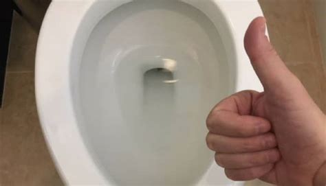 properly clean     toilet