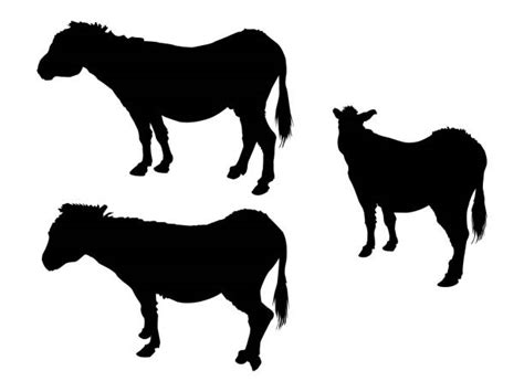 funny donkey face silhouette illustrations royalty  vector