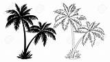 Palm Tree Outline Drawing Trees Tropical Vector Background Paintingvalley Drawings Silhouettes sketch template