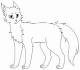 Cats Coloring Pages Warriors Printable Wonder sketch template