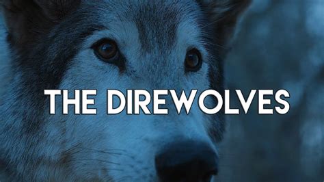 Game Of Thrones The Direwolves Youtube