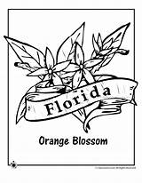 Florida Coloring Flower State Pages Printable Orange Kids Woo Jr Activities Woojr Adult Flag sketch template