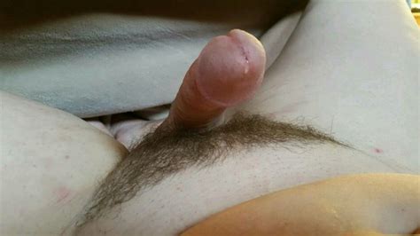 cock dick naked dripping precum wet hard hard cock head image uploaded by user boobguyyy at