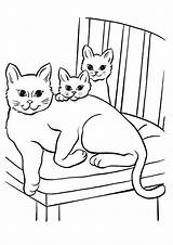 Colorare Gatti Disegni Coloring Cuccioli Gatta Katze Gatto Bestcoloringpagesforkids Ausmalbild Blogmamma Gatos Coloringfolder sketch template