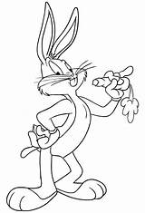Bunny Bugs Dibujo Cartonionline Stampare sketch template