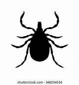 Tick Insect sketch template