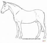 Coloring Pages Horse Drawing Arabian Appaloosa Horses Supercoloring Tutorials Printable sketch template