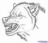 Wolf Drawing Angry Draw Snarling Pencil Step Drawings Wolves Anime Reference Sketch Character Tattoo Choose Board Coloring Pages Sketches Forward sketch template