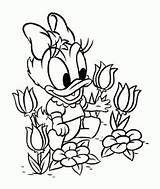 Coloring Daisy Duck Baby Pages Donald Disney Kids Color Flower Printable Easter Print Disegni Colorare Da Colouring Beautiful Getcolorings Dasiy sketch template