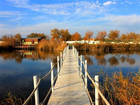 die kueste der camargue provence alpes cote dazur tourismus