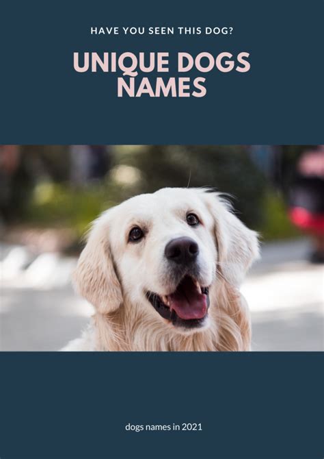 popular dog names   unique dog names petsynse
