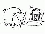 Coloring Pig Pancake Give If Pages Crayola Popular Library Insertion Codes sketch template