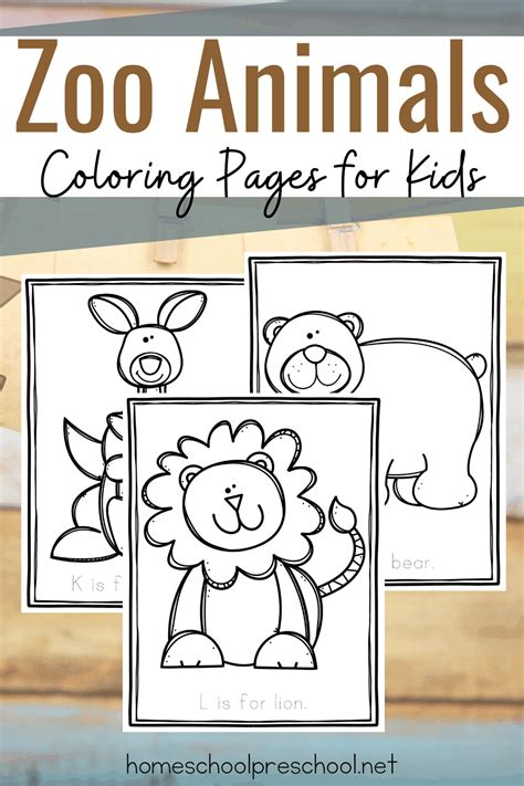 printable zoo animal coloring pages  preschool images