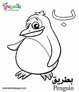 Arabic Coloring Pages Alphabet Kindergarten Kids Belarabyapps Pdf Sheets Letters Baa Letter Choose Board sketch template