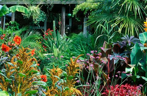 tropical flower garden design ideas