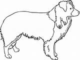 Collie Clipart Border Outline Bearded Coloring Dog Cliparts Clipground Library Sheet Lover Pet Gifts Custom sketch template