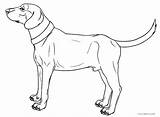 Dog Coloring Pages Hound Printable Getcolorings sketch template