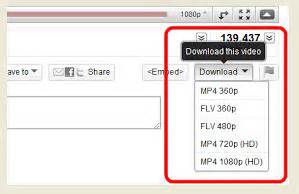 top  youtube downloader  chrome