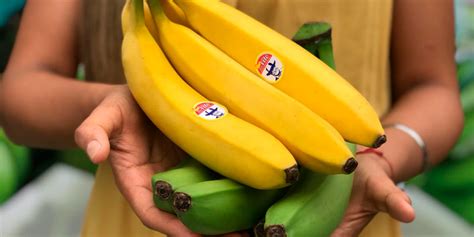 rusia vuelve  encontrar parasito en cargamento de banano ecuatoriano