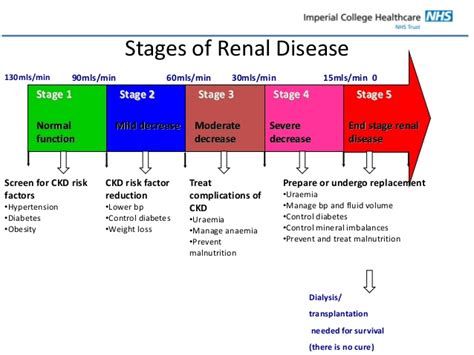 renal nutrition