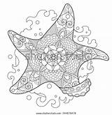 Starfish Raster sketch template