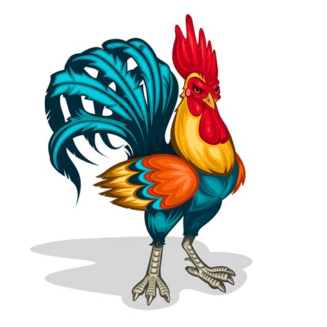 vector illustration   rooster   vector art stock