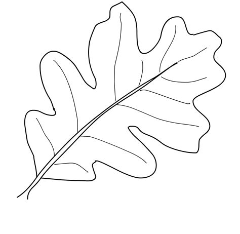 coloring leaves colette cockrel