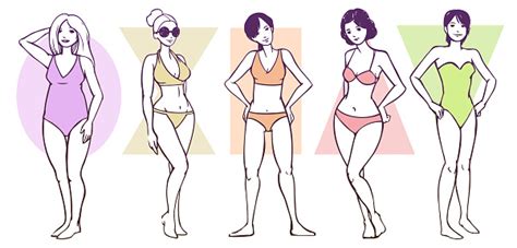 Female Body Shape Types Stock Illustration Download Image Now Istock