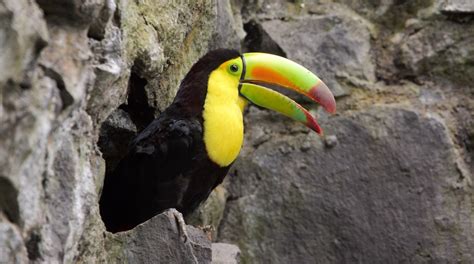 visita zoologico zacango en toluca tours actividades expediamx