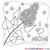 Coloring Pages Mimosa Flower Kids Mother Sheet Title sketch template