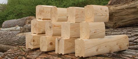 mp log molderplaner wood mizer usa