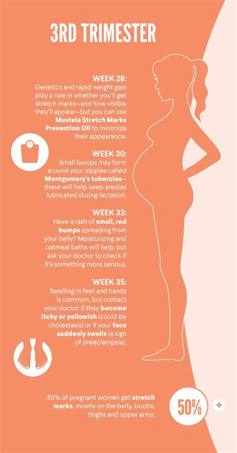 what s going on with your skin during and after pregnancy mainely pregnancy and birth