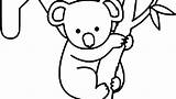 Koala Outline Bear Drawing Clipart Clipartmag sketch template