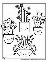 Coloring Succulents Pages Printable Adorable sketch template