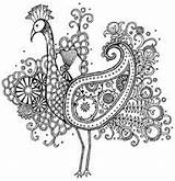 Coloring Pages Peacock Intricate Paisley Animal Obsession Impression Printable Adults Davies Hannah Stamp Colouring Sheets Adult Color Kids Zentangle Peacocks sketch template