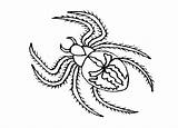Coloring Pages Anansi Spider sketch template